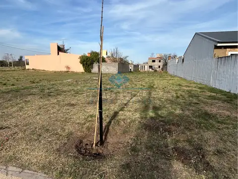 VENTA - LOTE 379 M2 - SINSACATE