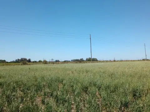 Campo - Venta - Argentina, La Matanza