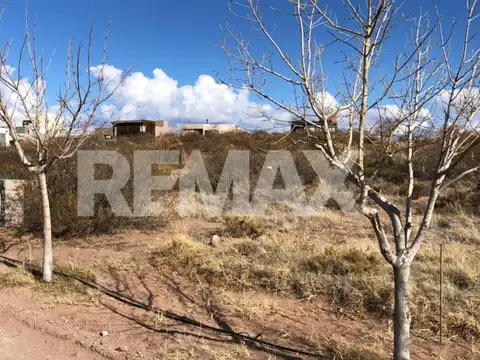 VENTA LOTE CHOCON MEDIO , ESTAPA MEDANOS 