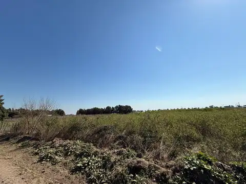 Zona Rural - Arroyo Seco