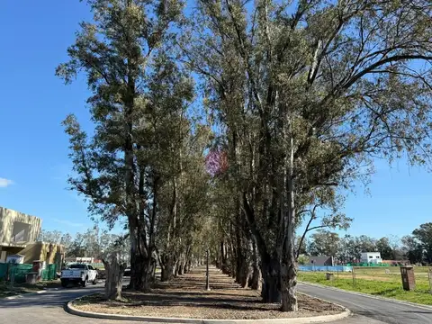 Terreno en Venta en Pilar Del Este - Santa Sofia, USD 57.000