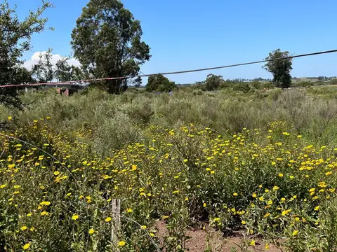 VENTA DE CHACRA CERCA DE SAN CARLOS MALDONADO