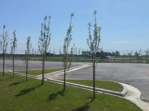 Calle Caseres - Barrio La Alameda