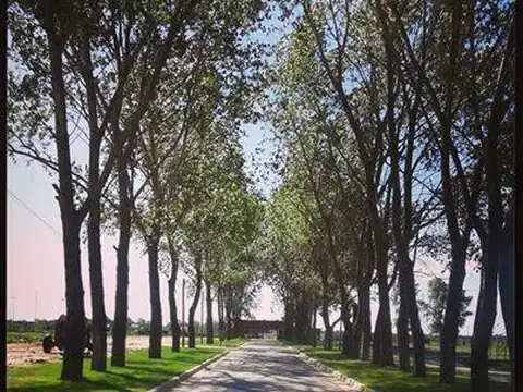 Oportunidad de terreno en La Alameda 