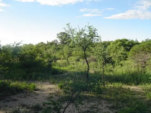 01153 - Acceso a San Marcos