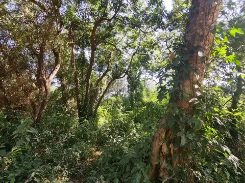 Terreno en Venta en Paso De La Patria, USD 18.000