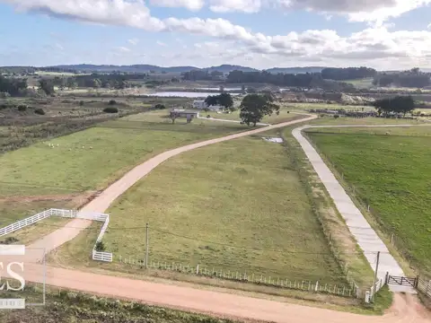 camino vecinal
