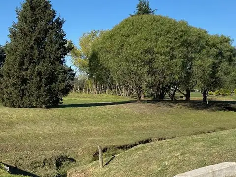 Terreno en Venta de 876,0 m2