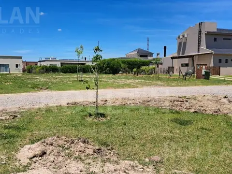 La Pista al 1600