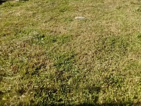 OPORTUNIDAD  Excelente Terreno en San José