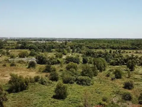 LOTE EN VENTA BARRIO SAN PEDRO- BENAVIDEZ-FINANC.