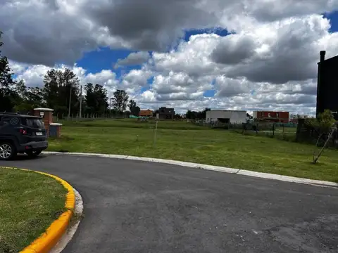 Santa Elisa 100
