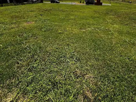 Terreno Lote  en Venta en Santa Elisa, Pilar del Este, Pilar