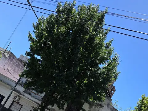  A REFACCIONAR  OPORTUNIDAD * 3 AMBIENTES PATIO Y TERRAZA ENORMEDepartamento tipo casa en venta en Villa Luro