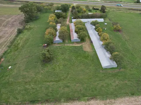 Granja Avícola Departamento Uruguay Entre Ríos