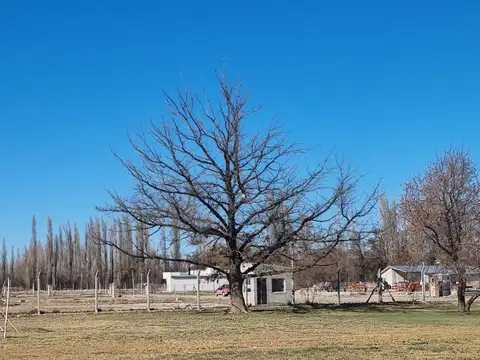 Terreno en Venta en Neuquen, Confluencia