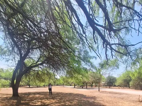 Terreno en Venta en Santiago Del Estero, USD 35.000