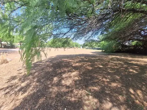 Independencia Prolongación