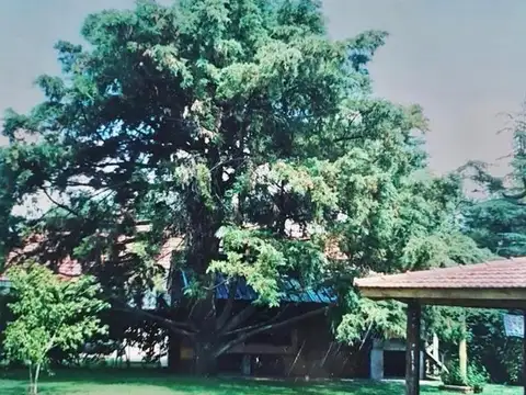 VENTA DE CASA CON PISCINA EN SAN MIGUEL DEL MONTE