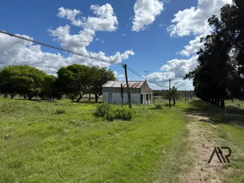 Camino
