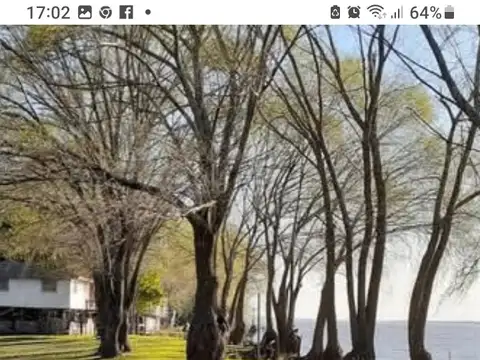 Rio Paraná Tagsa Terminal 100