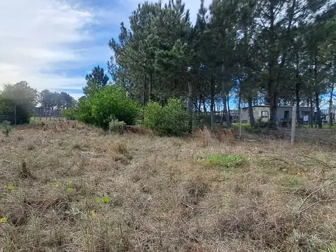 HUGO MENDEZ 100