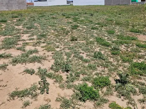 Brisas De Manantiales