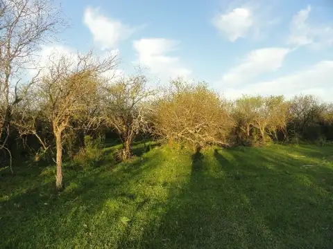 Autovía 14 a 150 km de C.A.B.A. 100