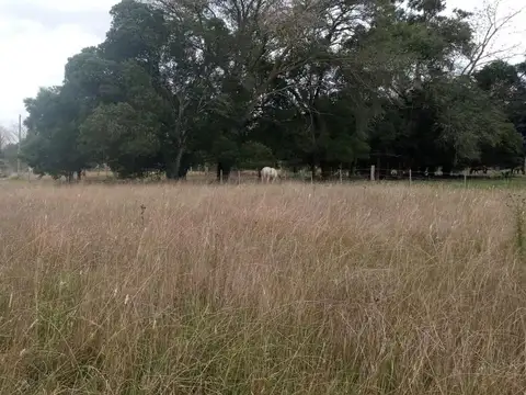 Departamento en Venta en Mar Del Plata, USD 23.500