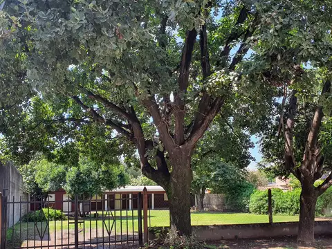 Terreno en Venta 60  mts Fondo