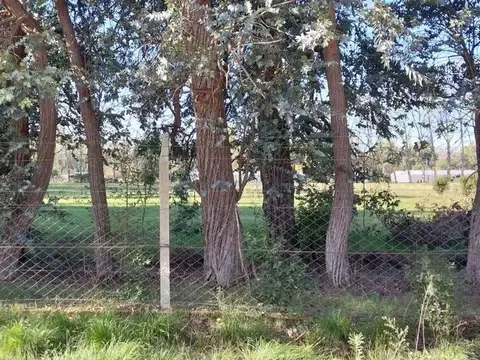 San Pedro 200