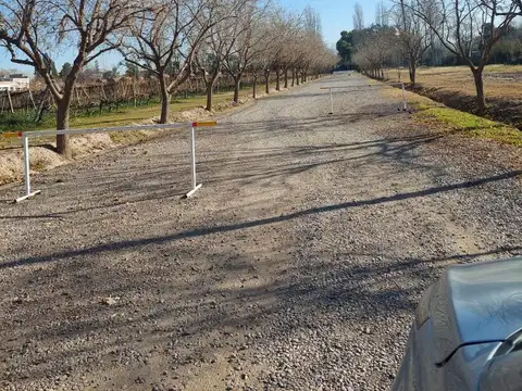 Guardia Vieja  al 1600