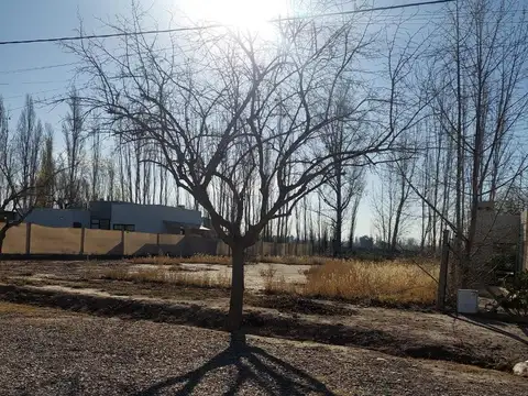 Terreno en Venta 22  mts Frente