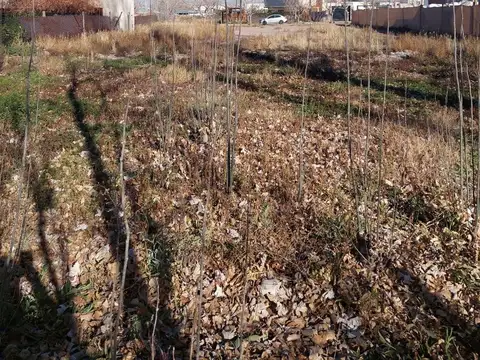 Terreno en  Vistalba
