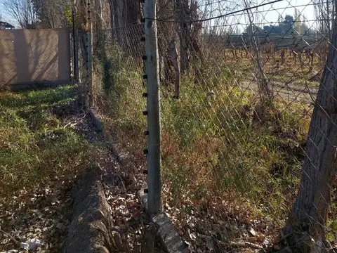 Guardia Vieja  al 1600