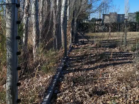 Terreno en Venta de 1278,0 m2