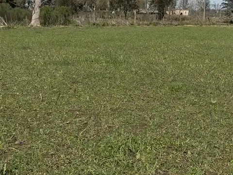 Terreno Campo  en Venta en Altos de Robles, Parada Robles, Exaltación de la Cruz