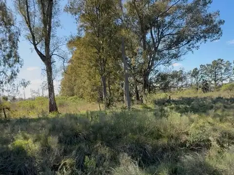 Terreno Campo  en Venta en Altos de Robles, Parada Robles, Exaltación de la Cruz