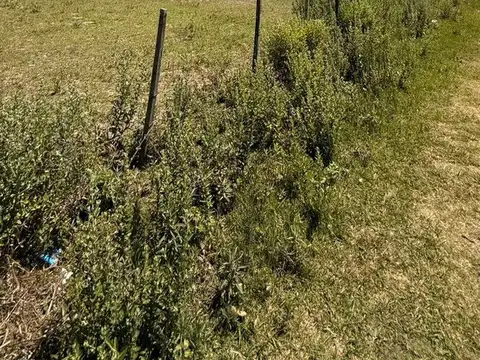 Terreno en venta en barrio Laguna Verde