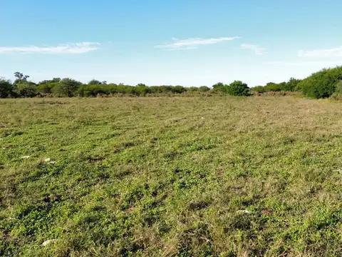 Vendo Lote de 1 Has en Villa Horacio, Colonia Caseros, Entre Ríos.