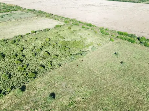 Terreno en Venta en Concepcion del Uruguay, USD 25.000