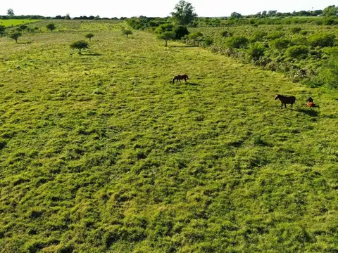 Vendo Lote de 1 Has en Villa Horacio, Colonia Caseros, Entre Ríos.