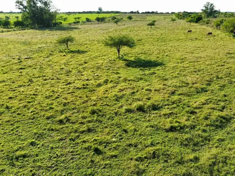 Terreno en Venta en Concepcion del Uruguay, USD 25.000