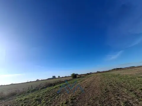 Campo Agrícola 48 Has. en Pearson, Buenos Aires