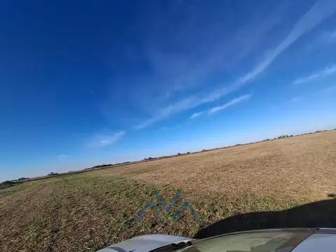 Campo Agrícola 48 Has. en Pearson, Buenos Aires