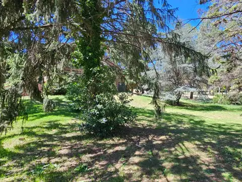 Goleta Independencia 800