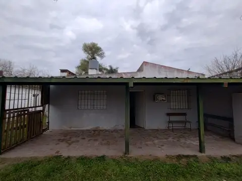 Del Surubi 100