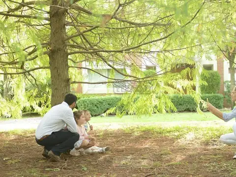 Terreno en Venta de 620,0 m2