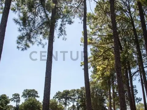 Terreno en Venta de 1535,0 m2