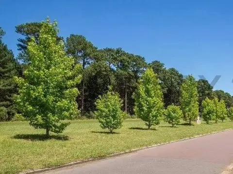 VENTA LOTE EN PINARES ETAPA 3 - POSIBILIDAD DE FINANCIAR